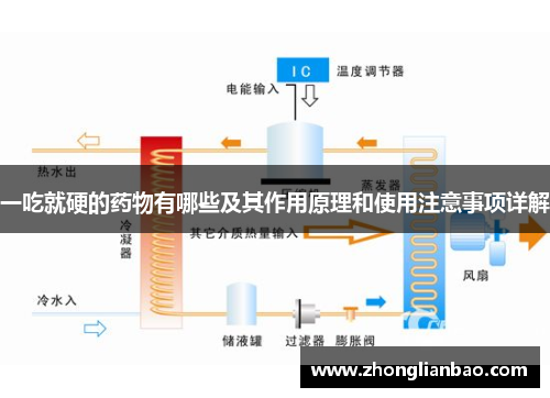 一吃就硬的药物有哪些及其作用原理和使用注意事项详解