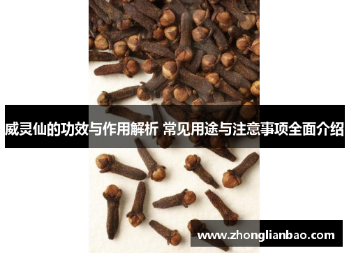 威灵仙的功效与作用解析 常见用途与注意事项全面介绍