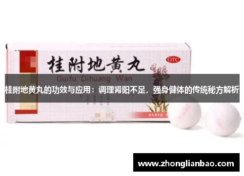 桂附地黄丸的功效与应用：调理肾阳不足，强身健体的传统秘方解析